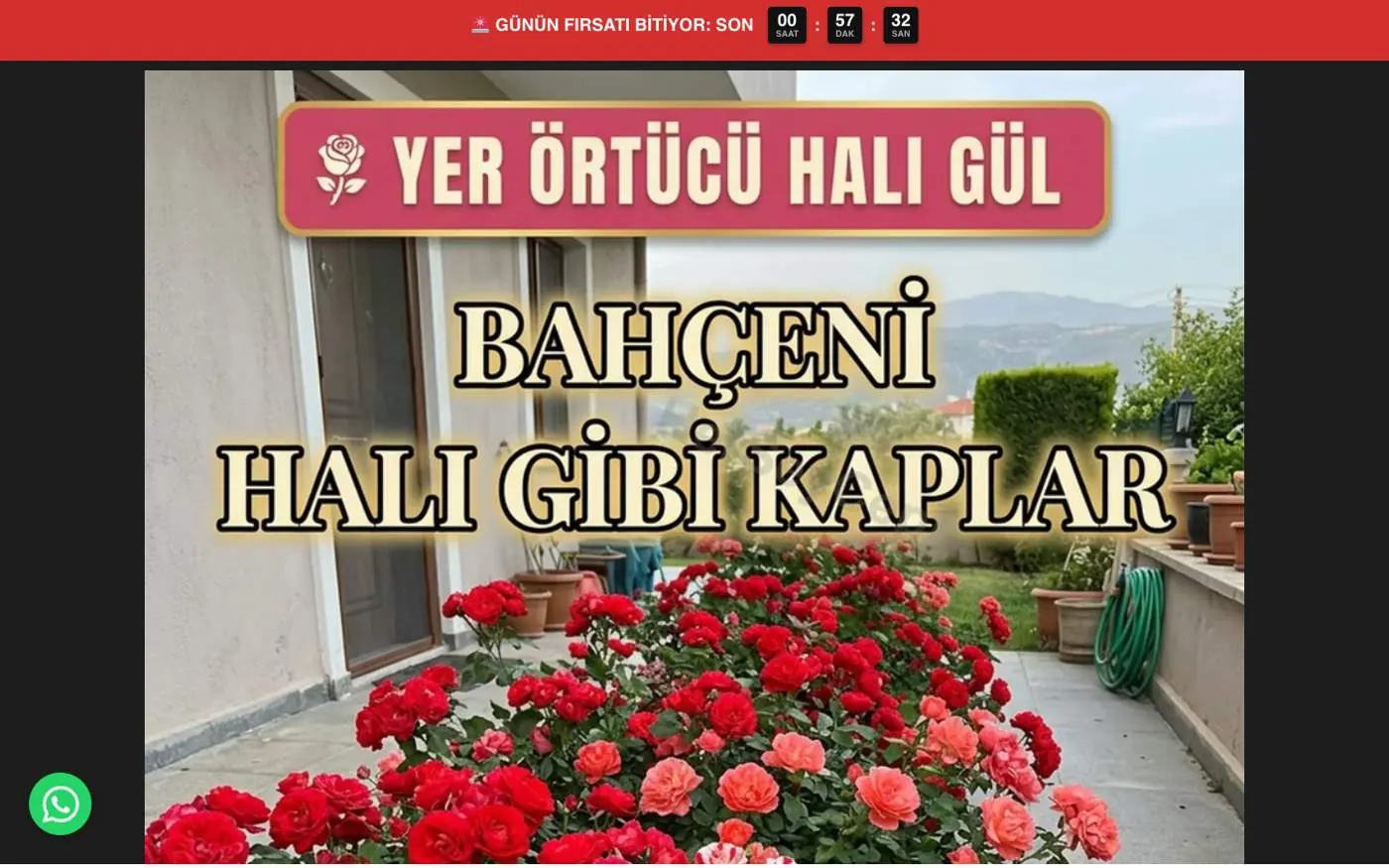 Gül fidanı satış sayfası, bilgisayar görünümü