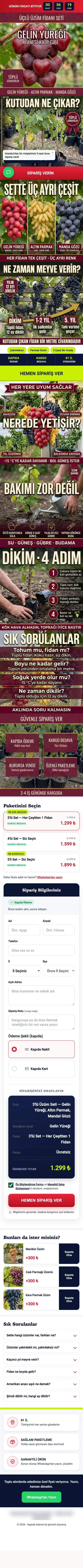 Üzüm fidanı satış sayfası, telefon görünümü, tam sayfa